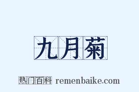 九月菊是什么意思的图片